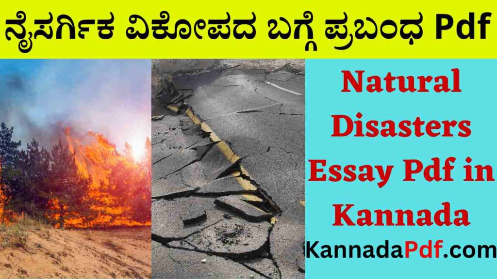 Natural Disasters Essay Pdf in Kannada