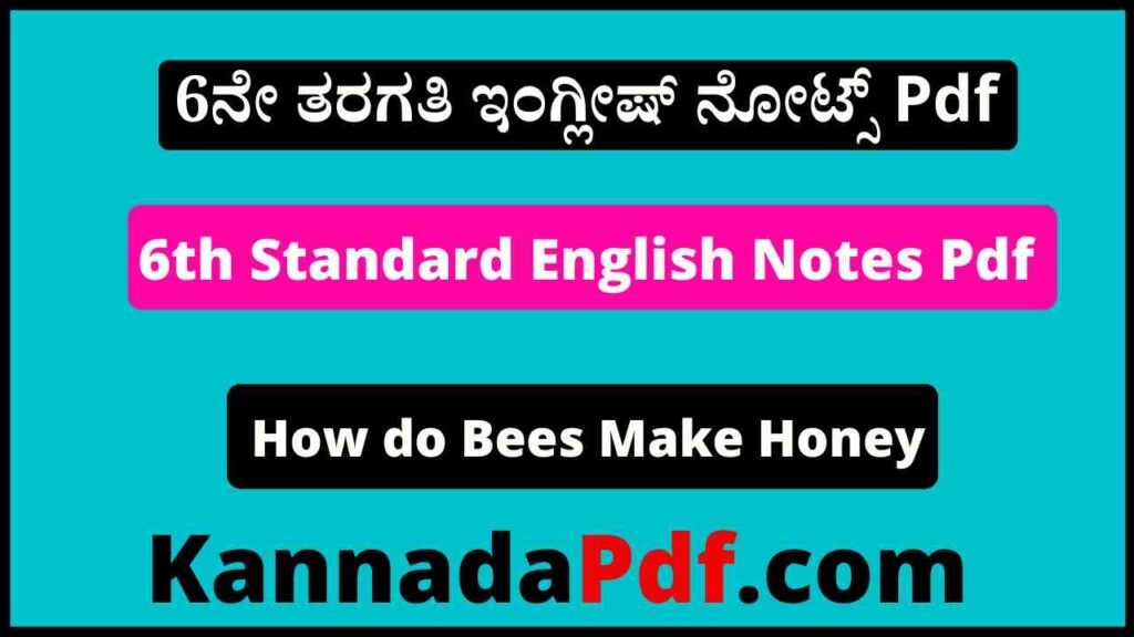 6th Class How do Bees Make Honey Notes Pdf 6ನೇ ತರಗತಿ Unit 3 ಇಂಗ್ಲೀಷ್‌ ನೋಟ್ಸ್‌ Pdf