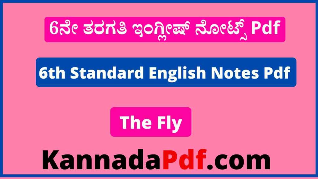 6th Class The Fly Poem English Notes Pdf 6ನೇ ತರಗತಿ ಪದ್ಯ 05 ನೋಟ್ಸ್‌ Pdf