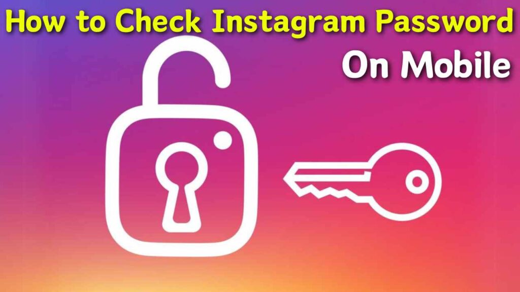 Check Instagram Password